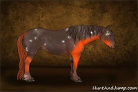 Horse Color:White Spotted Liver Chestnut Rabicano 