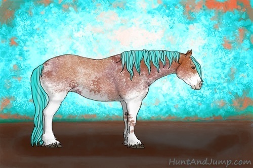 Horse Color:Painted White Spotted Silver Brown Sabino Rabicano