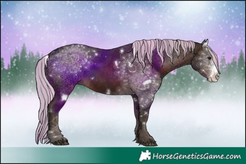 Horse Color:Painted White Spotted Silver Brown Sabino Rabicano 