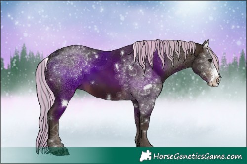 Horse Color:Painted White Spotted Silver Brown Sabino Rabicano