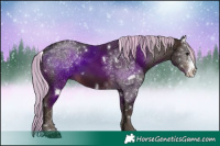Horse Color:Painted White Spotted Silver Brown Sabino Rabicano