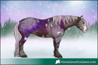 Horse Color:Painted White Spotted Silver Brown Sabino Rabicano 