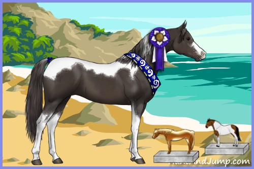 Horse Color:Smoky Black Tobiano 