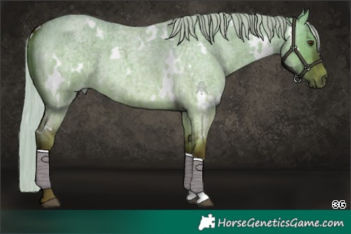 Horse Color:White Spotted Silver Brown Roan Dun Brindle 