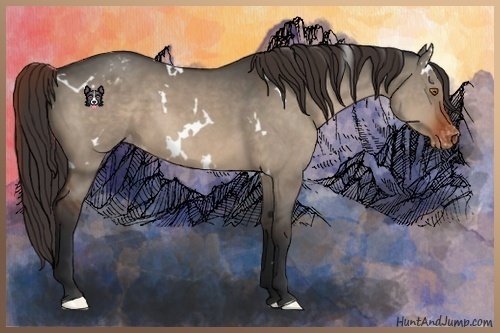 Horse Color:White Spotted Brown Dun Varnish