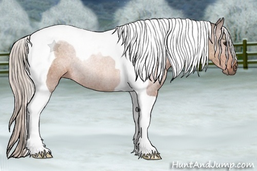 Horse Color:Silver Brown Tobiano Rabicano