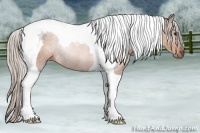 Horse Color:Silver Brown Tobiano Rabicano 
