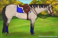 Horse Color:Bay Roan Dun 