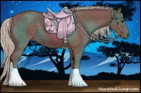 Horse Color:Silver Black 