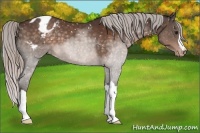 Horse Color:Silver Brown Snowflake Varnish