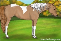 Horse Color:Red Roan Tobiano 