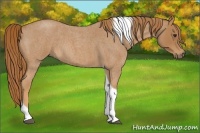Horse Color:Red Roan Tobiano 