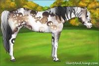 Horse Color:White Spotted Bay Onyx