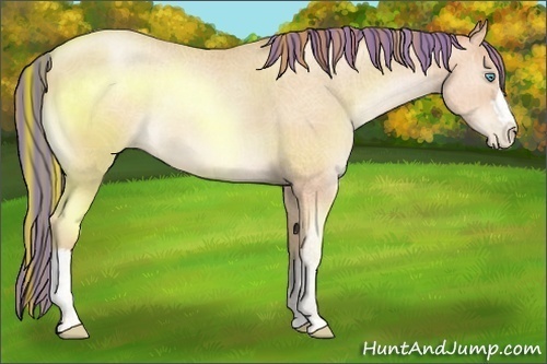 Horse Color:Painted Sable Champagne Pearl 