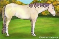 Horse Color:Painted Sable Champagne Pearl 