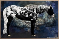Horse Color:Plaid Silver Brown Sabino Splash