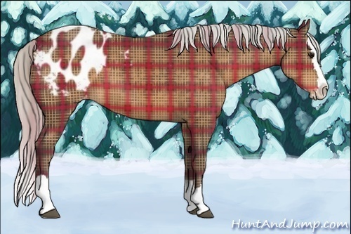 Horse Color:Plaid  Silver Brown Sabino Splash Appaloosa 