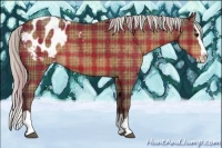 Horse Color:Plaid  Silver Brown Sabino Splash Blanket 