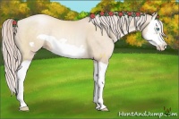 Horse Color:Gold Cream Champagne Pearl Splash Frame 