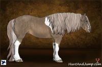 Horse Color:Chocolate Palomino Sabino Splash Tobiano Brindle