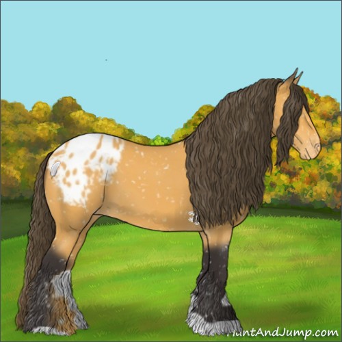Horse Color:Buckskin Snowflake Varnish 