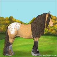Horse Color:Buckskin Snowflake Varnish 