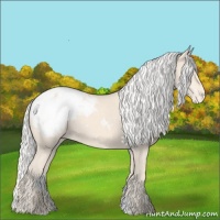 Horse Color:Silver Perlino Appaloosa 
