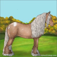 Horse Color:Silver Brown Pearl Snowflake Varnish