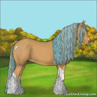 Horse Color:Painted Palomino Sabino Tobiano 