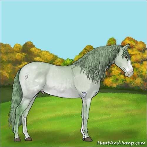 Horse Color:Watercolor Buckskin Dun Sabino Frame Appaloosa 
