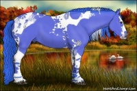 Horse Color:Watercolor Bay Splash Tobiano 