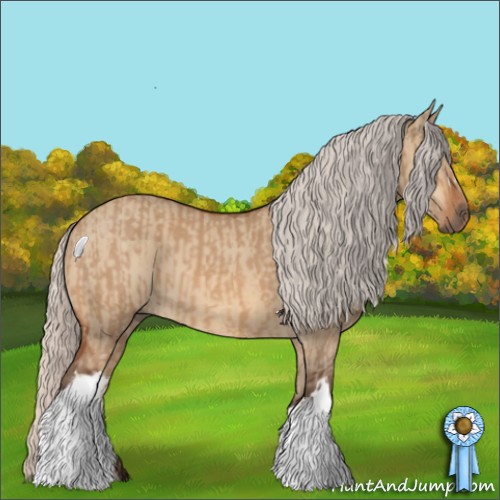 Horse Color:Silver Bay Dun  and Silver Bay Dun 