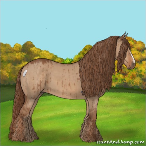 Horse Color:Red Dun Brindle 