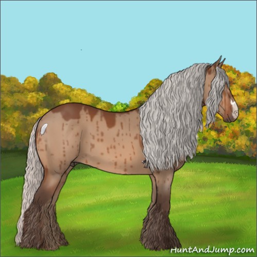 Horse Color:Silver Brown Dun Brindle 