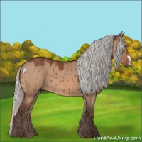 Horse Color:Silver Brown Dun Brindle 