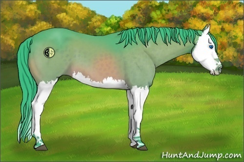 Horse Color:Watercolor Brown Splash