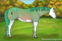 Horse Color:Watercolor Brown Splash