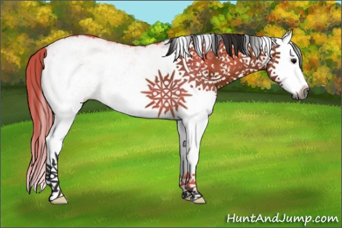 Horse Color:Gray White Spotted Bay Splash