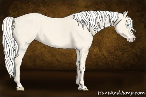 Horse Color:Cremello Splash Brindle