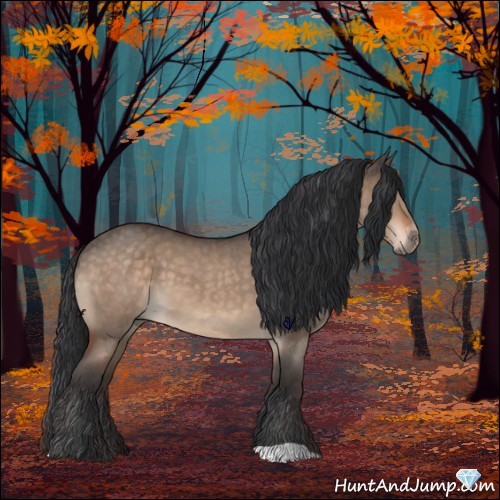 Horse Color:Bay Roan Dun