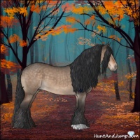 Horse Color:Bay Roan Dun 
