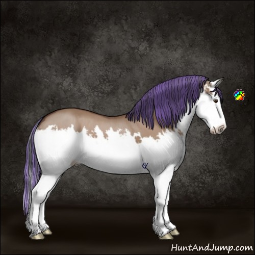 Horse Color:Painted Bay Dun Splash
