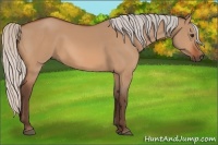 Horse Color:Silver Bay Dun