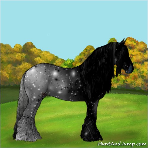 Horse Color:ERROR: UNKNOWN ANOMALY