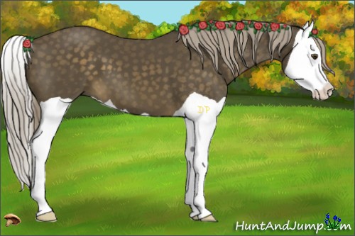 Horse Color:Chocolate Palomino Splash 