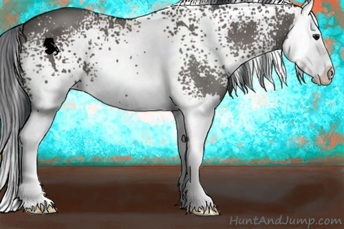 Horse Color:White Spotted Grullo Splash 