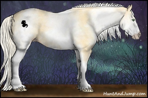 Horse Color:White Spotted Gold Cream Champagne