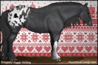 Horse Color:Blue Roan Appaloosa 