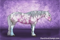 Horse Color:Painted Watercolor White Spotted Silver Brown Ice Rabicano
