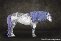 Horse Color:Painted White Spotted Silver Brown Chinchilla Ice Appaloosa